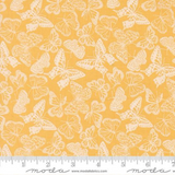 My Secret Garden by Stacy Iest Hsu for Moda Fabrics