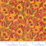 Floribunda
