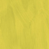 Colorwash Textured Solid - Olive Oil