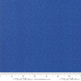 Thatched by Robin Pickens for Moda Fabrics