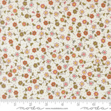 Bug Collector by Sweetwater for Moda Fabrics