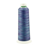 Aeroquilt Blue Lagoon 3000 Yds Variegated