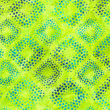 Dotted
