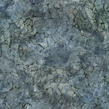 Patterns in Nature