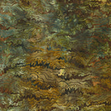 Patterns in Nature