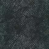 Patterns in Nature