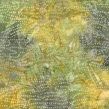 Patterns in Nature