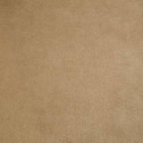 Shannon Fabrics Solid Cuddle 90"