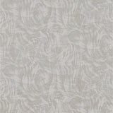 Impressions Moiré II Taupe