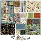 Wild Wonder