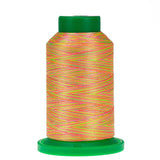 Isacord Variegated Neon Nights 9914