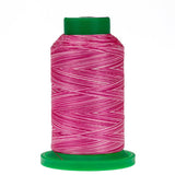 Isacord Variegated Raspberries & Cream 9923