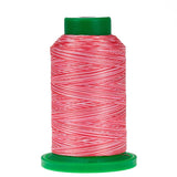 Isacord Variegated Sweetheart 9405