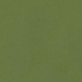 Kona Solid Ivy