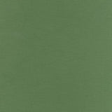 Kona Solid Dill