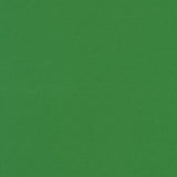 Kona Solid Color of the Year 2026 Wander
