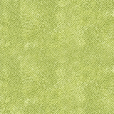 Dimples by Gail Kessler for Andover Fabrics