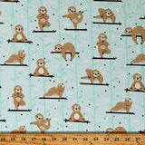 Sloth Yoga by Robert Kaufman