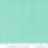 Thatched Aqua