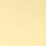 Shannon Fabrics Solid Cuddle 90"