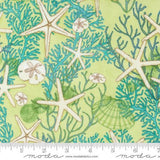 Serena Shores by Robin Pickens for Moda Fabrics