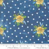 Sunshine & Blue Skies by Create Joy Project for Moda