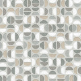 Cozy Cotton Flannel by Robert Kaufman