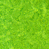 Artisan Batiks Splash by Lunn Studios for Robert Kaufman