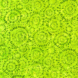 Artisan Batiks Splash by Lunn Studios for Robert Kaufman