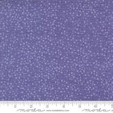 Dotty Thatched by Robin Pickens for Moda