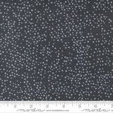 Dotty Thatched by Robin Pickens for Moda