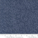 Dotty Thatched by Robin Pickens for Moda