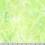 Geo Earth Artisan Batiks by Lunn Studios for Robert Kaufman