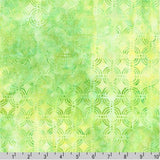 Geo Earth Artisan Batiks by Lunn Studios for Robert Kaufman