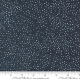 Dotty Thatched by Robin Pickens for Moda