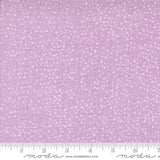 Dotty Thatched by Robin Pickens for Moda