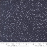 Dotty Thatched by Robin Pickens for Moda