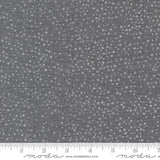 Dotty Thatched by Robin Pickens for Moda