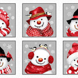 Snow Crew Panels