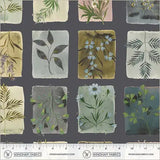 Bloomfield by Kelly Ventura for Windham Fabrics