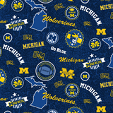 Michigan Cotton by Sykel Studio for Benartex