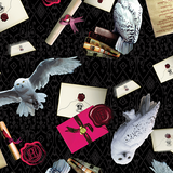 Harry Potter by Warner Bros for Benartex