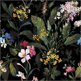 Canvas & Co. by Windham Fabrics
