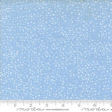 Dotty Thatched by Robin Pickens for Moda