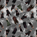 Harry Potter by Warner Bros for Benartex