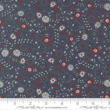 Independence Day by Sweetwater for Moda