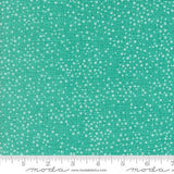 Dotty Thatched by Robin Pickens for Moda