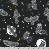 Lights Out by Robert Kaufman - Glow in the Dark!