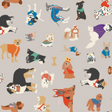 Laminated Cotton by Splash Fabric
