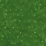 Speckles by Anthology Fabrics